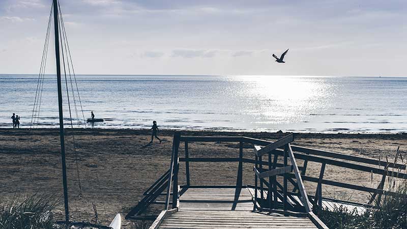 Vy ner mot vattenbrynet vid Östra Stranden