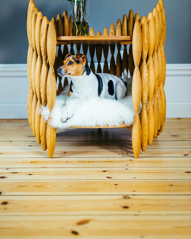 Sidobord för hund och person