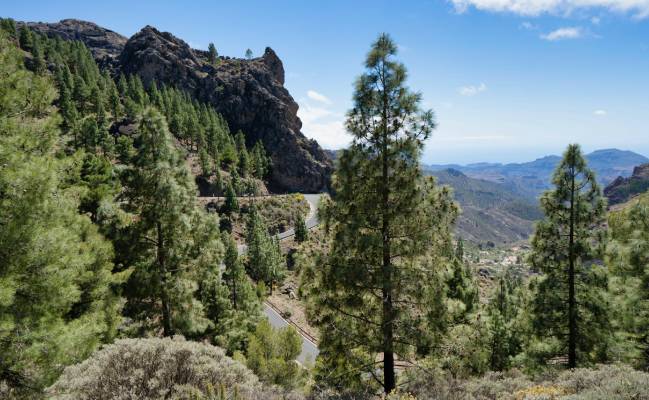 Vandra på Gran Canaria