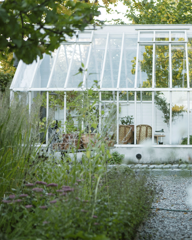 Stort växthus i lummig trädgård