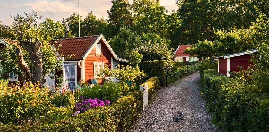 Fritidshusområde med röda stugor och prunkande trädgårdar
